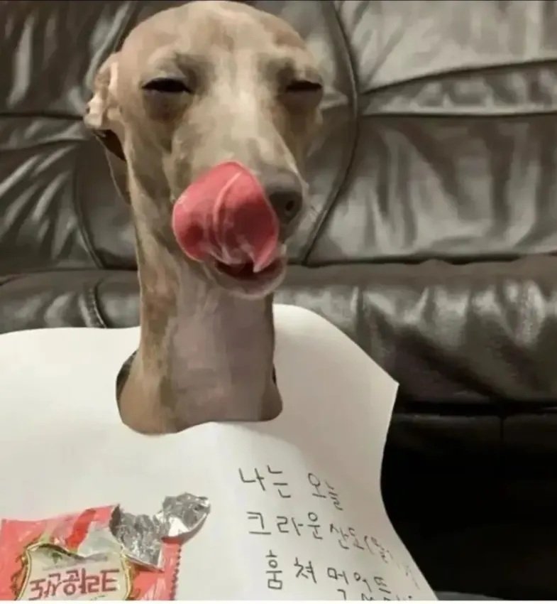 전혀 후회없는 선택.jpg