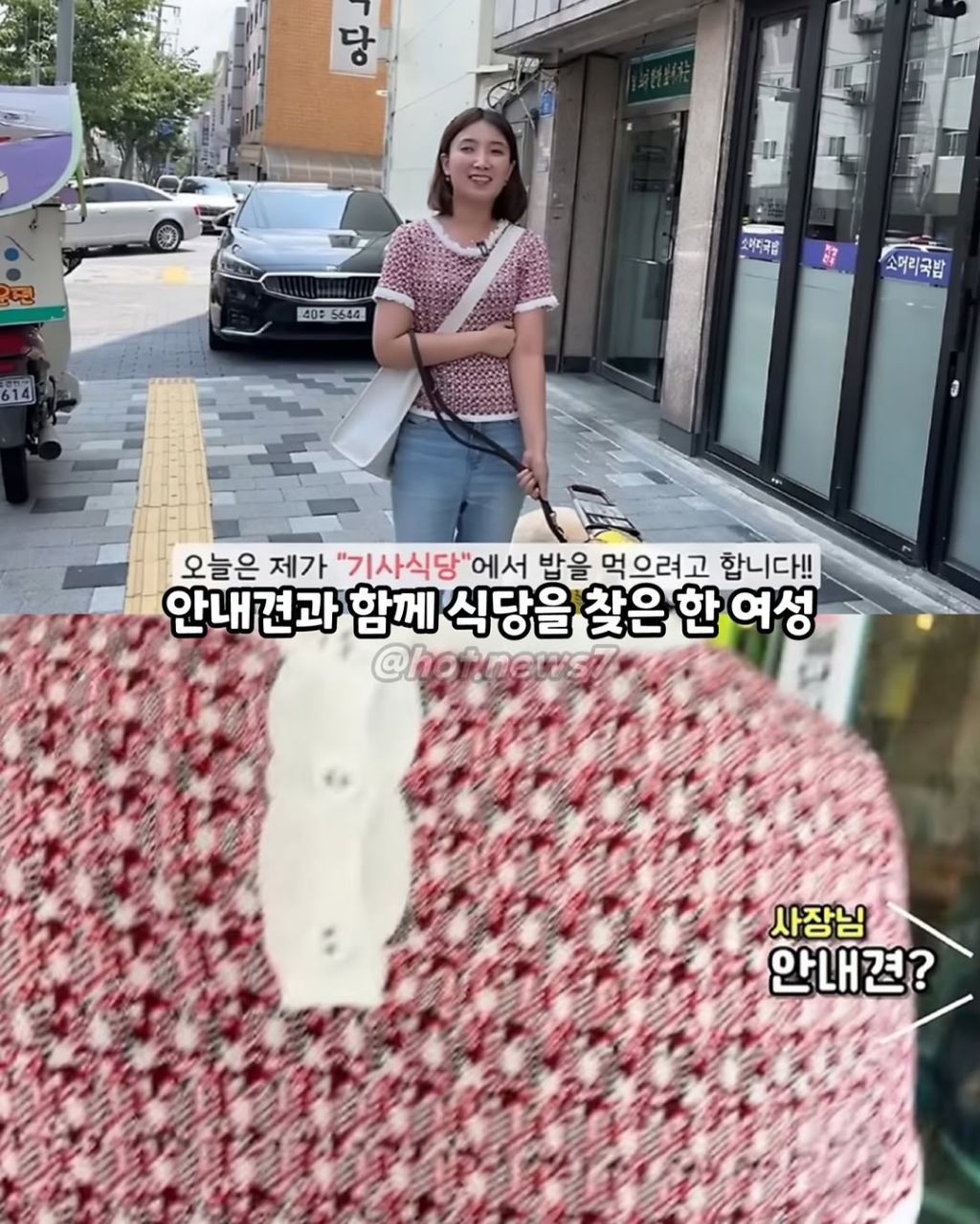 안내견보고 큰소리 내는 식당