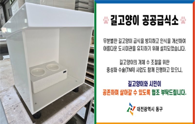 ???는 '고양이는 쥐를 잡지 않는다'고 말했습니다.