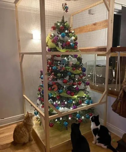 양이 키우는 집에서 크리스마스 트리 꾸미는법.