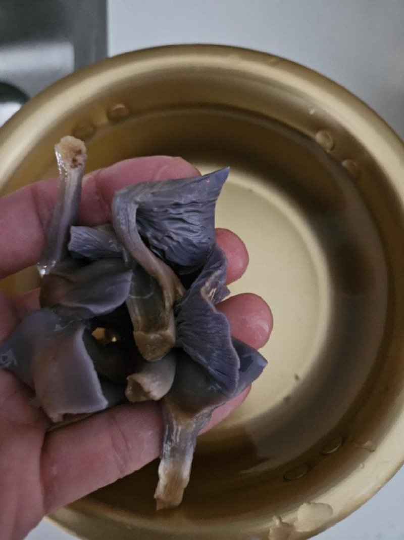 보라색 버섯을 넣고 라면 끓인 사람