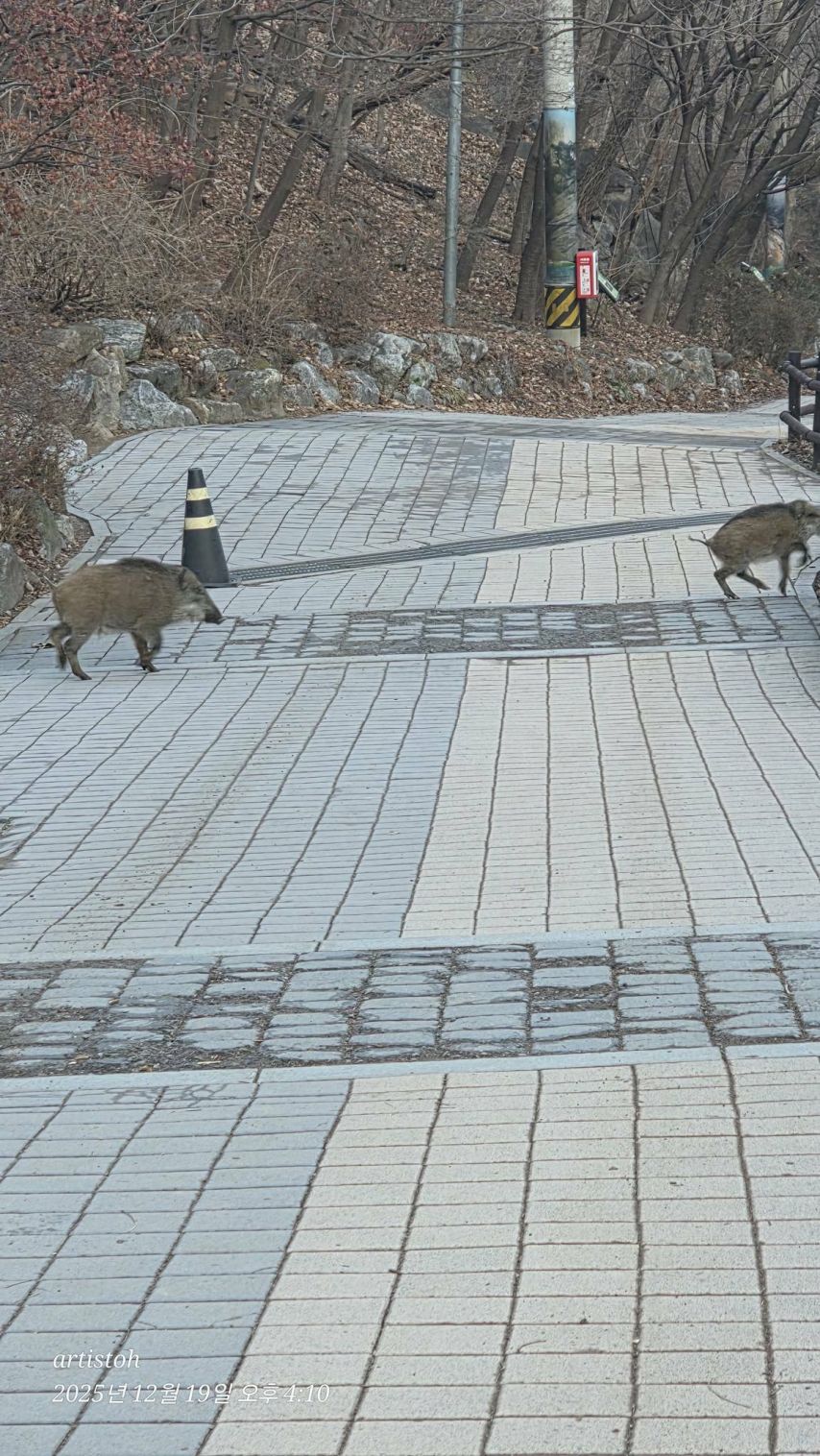 북한산 도봉지구 근황