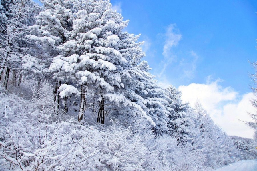 강원도 대표 설경명소 수준