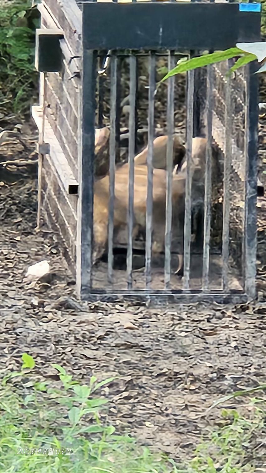 북한산 도봉지구 근황