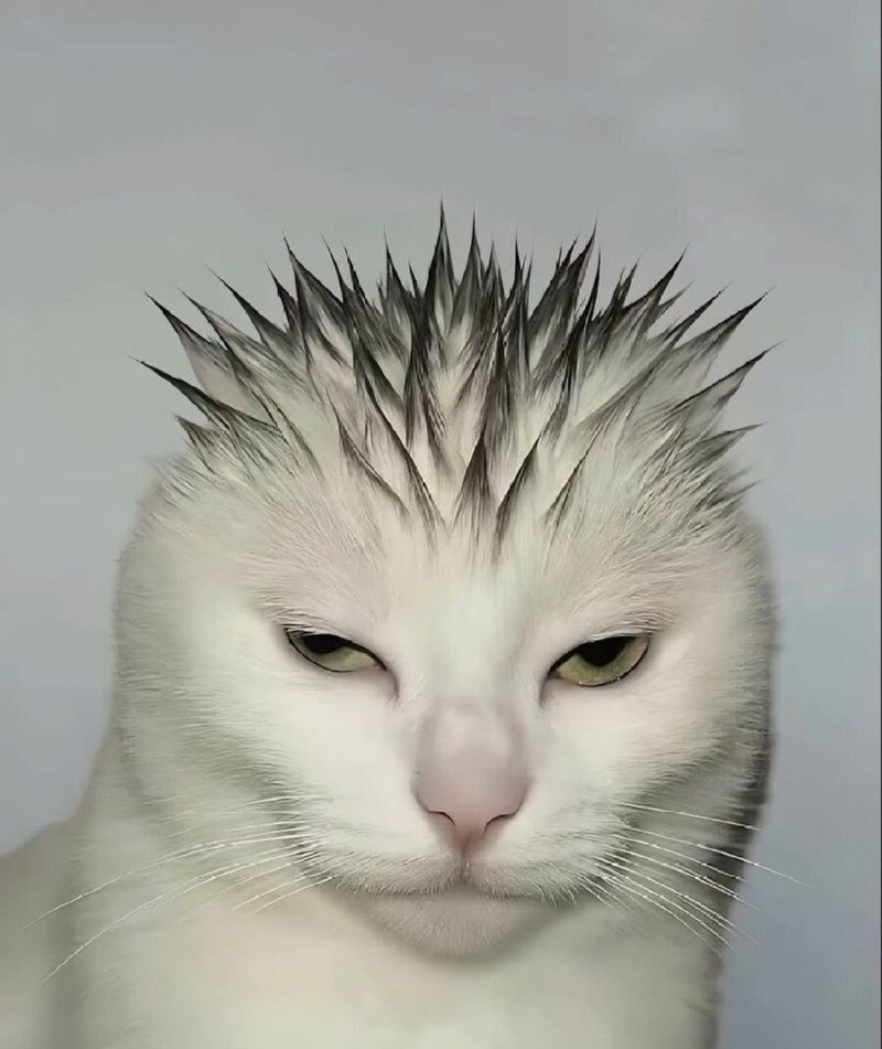 학교 다닐 때 겁나 독한 선생님 머리