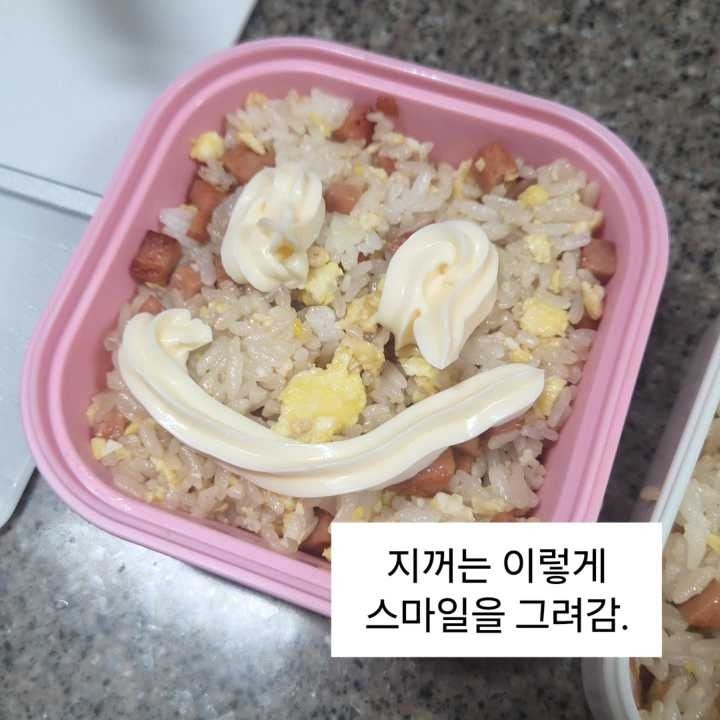 급식 파업에 도시락 싸가는 딸내미.jpg