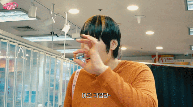 잡히는 모든걸 미니어쳐로 만들어버리는 최홍만 ㅎㄷㄷ