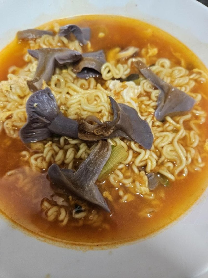 보라색 버섯을 넣고 라면 끓인 사람