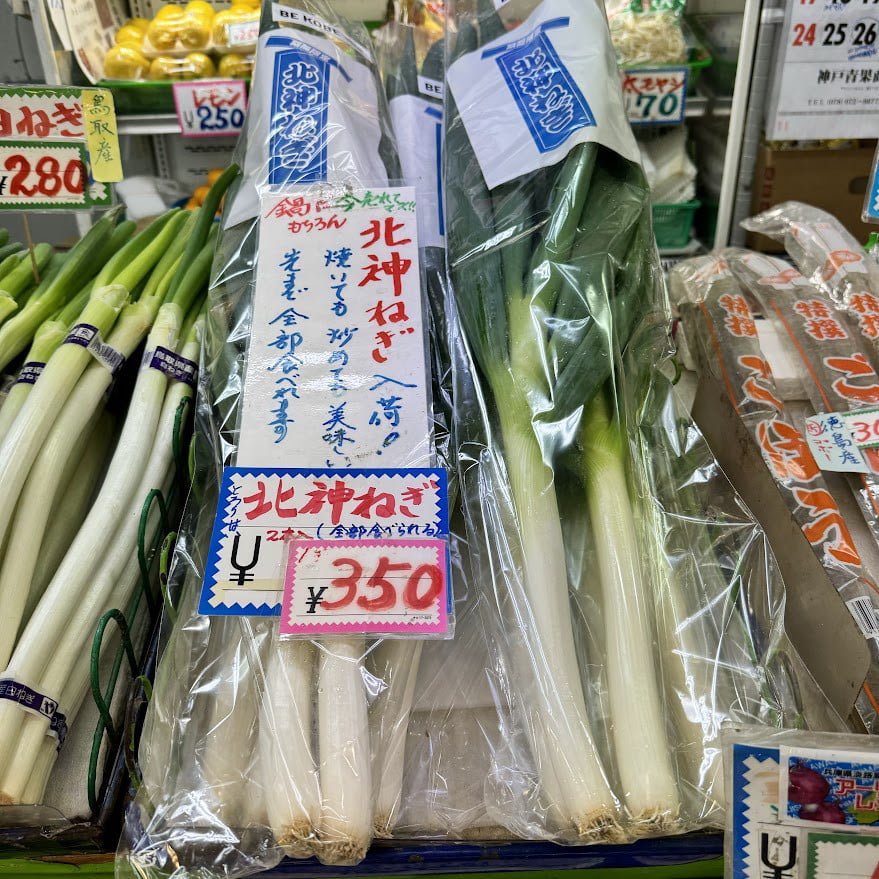 일본 대파가 깨끗한 이유