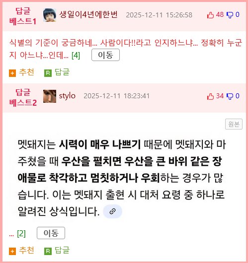 동물들이 인간을 식별할 수 있는 거리