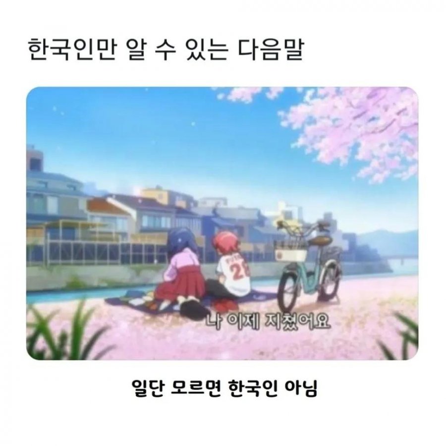 한국인만 알 수 있는 다음말.jpg