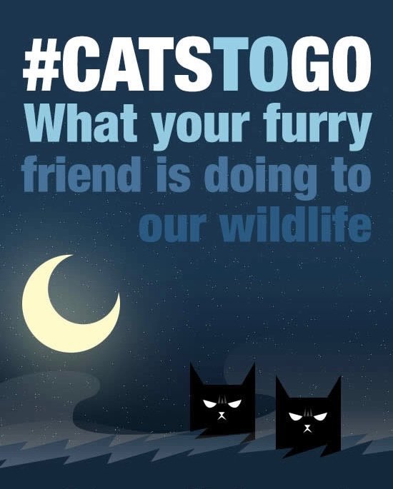 야생 고양이 근절하겠다는 뉴질랜드, 그리고..