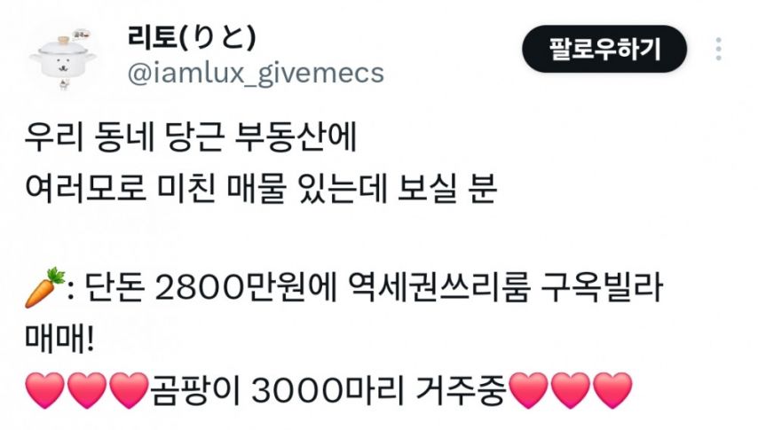 우리 동네 당근 부동산에 여러모로 미친 매물