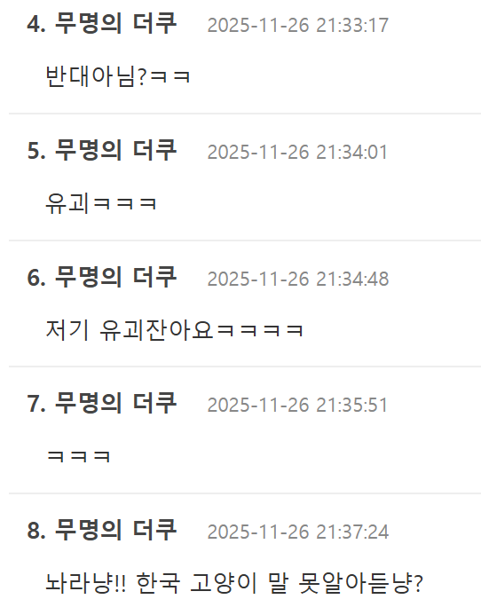 고양이를 주운 외국인