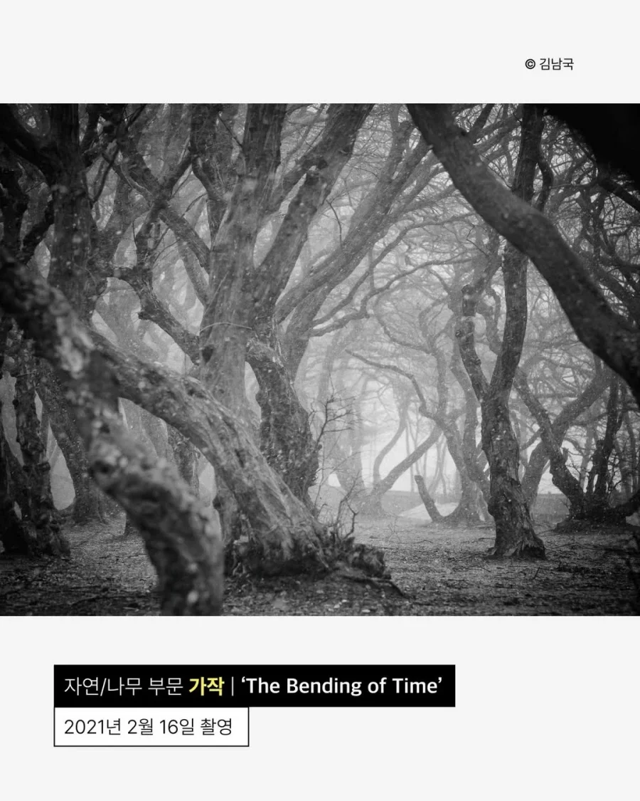 사진이 취미라는 안산시청 공무원.jpg