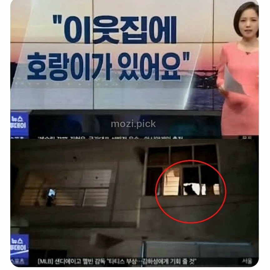 그림자만 보고 집에 호랑이 있다고 신고