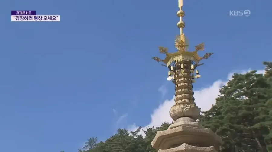 현재 반응 너무 좋다는 평창 김장 축제