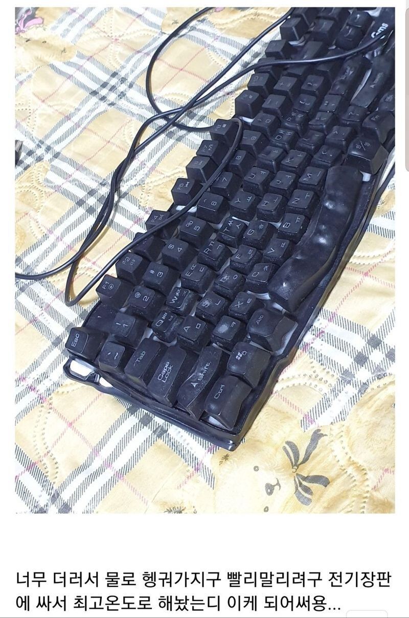키보드 청소 대참사