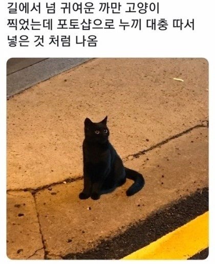 사진을 찍었는 데 합성으로 보임