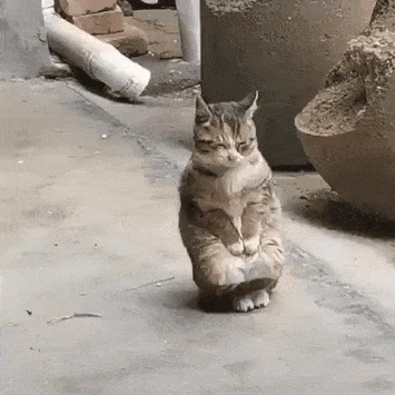 손이 시려워.gif