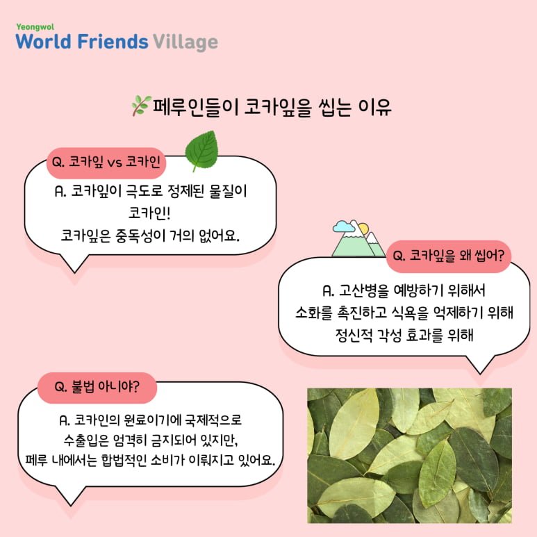 페루에서 공짜로 나눠준다는 고산병 치료제