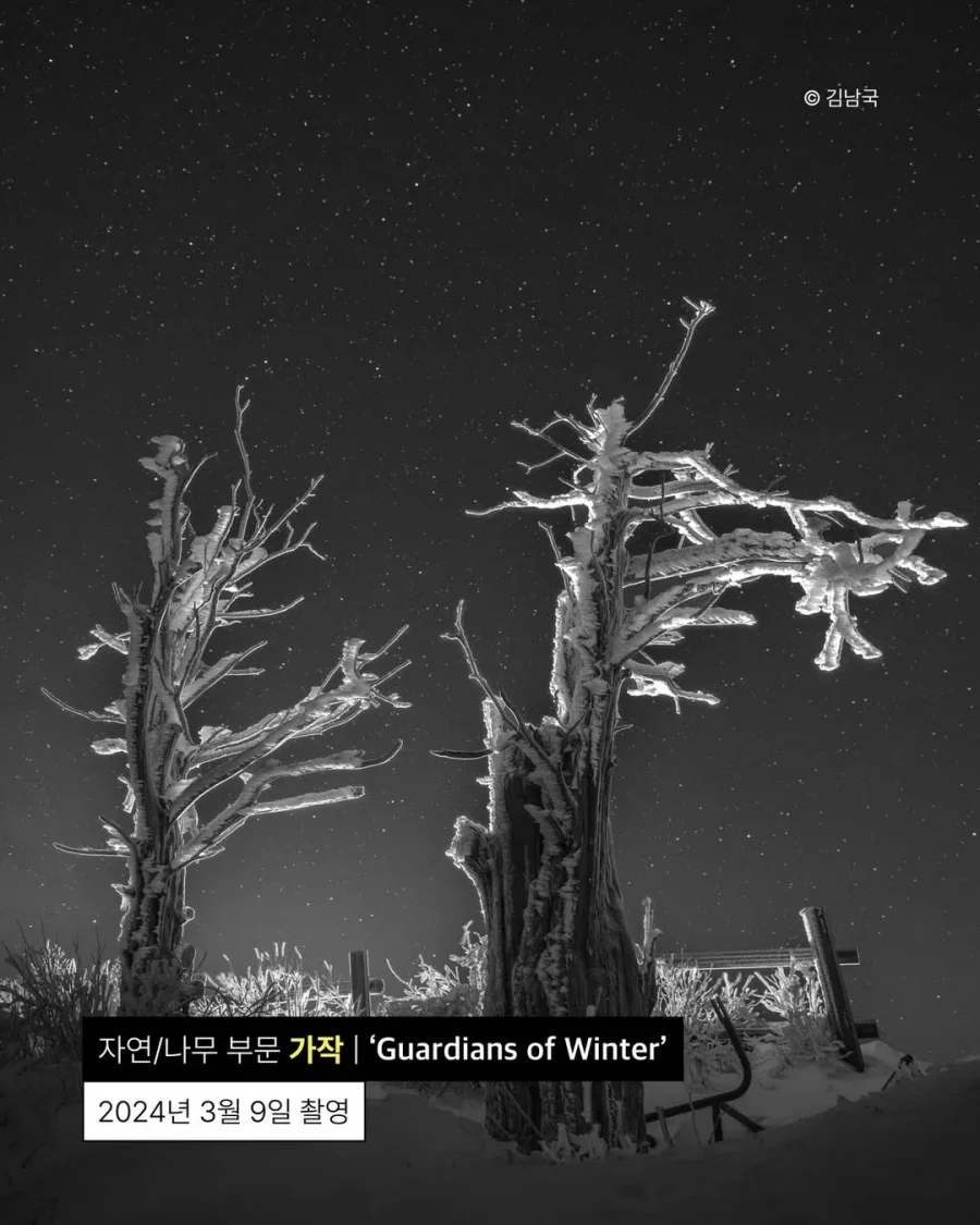 사진이 취미라는 안산시청 공무원.jpg