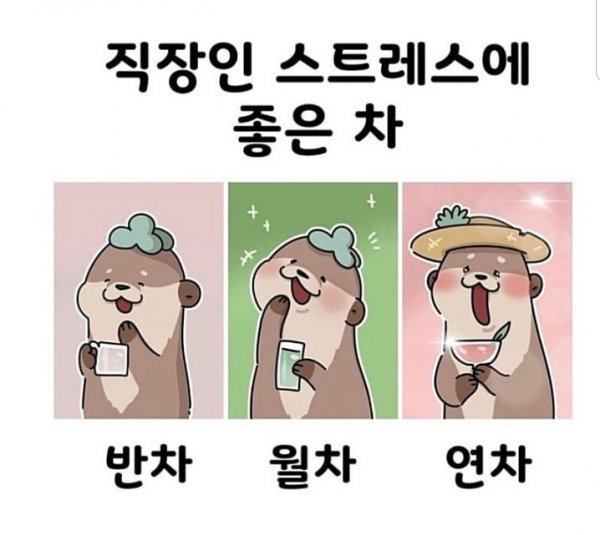 직장인 스트레스에 좋은 차