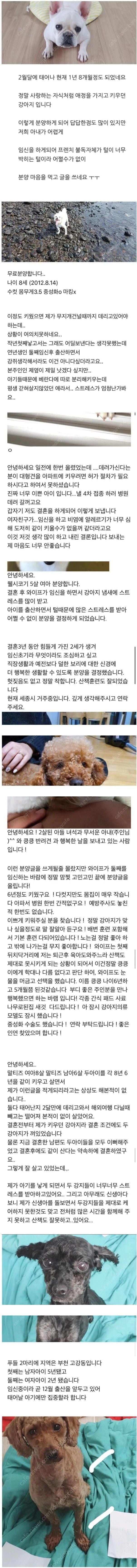 신혼부부가 반려동물 분양 기피대상인 이유ㄷㄷ