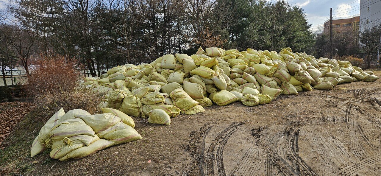 미화원이 치운 낙엽은 어떻게 될까?
