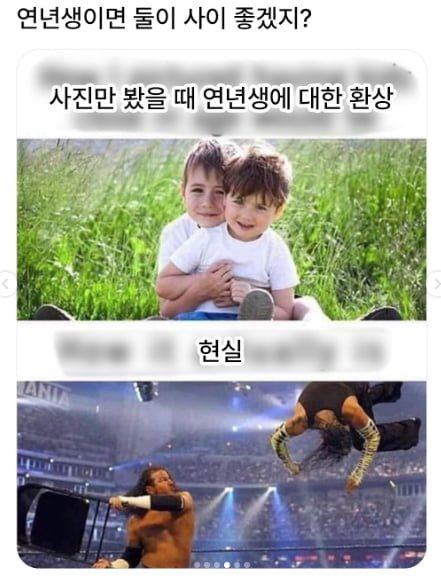 연년생 상상과 현실ㅋㅋ