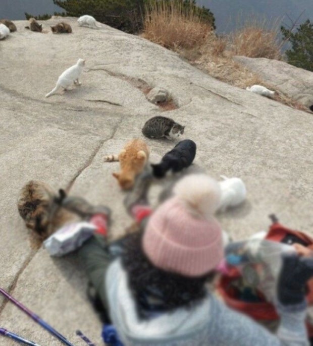 북한산 도봉지구 근황