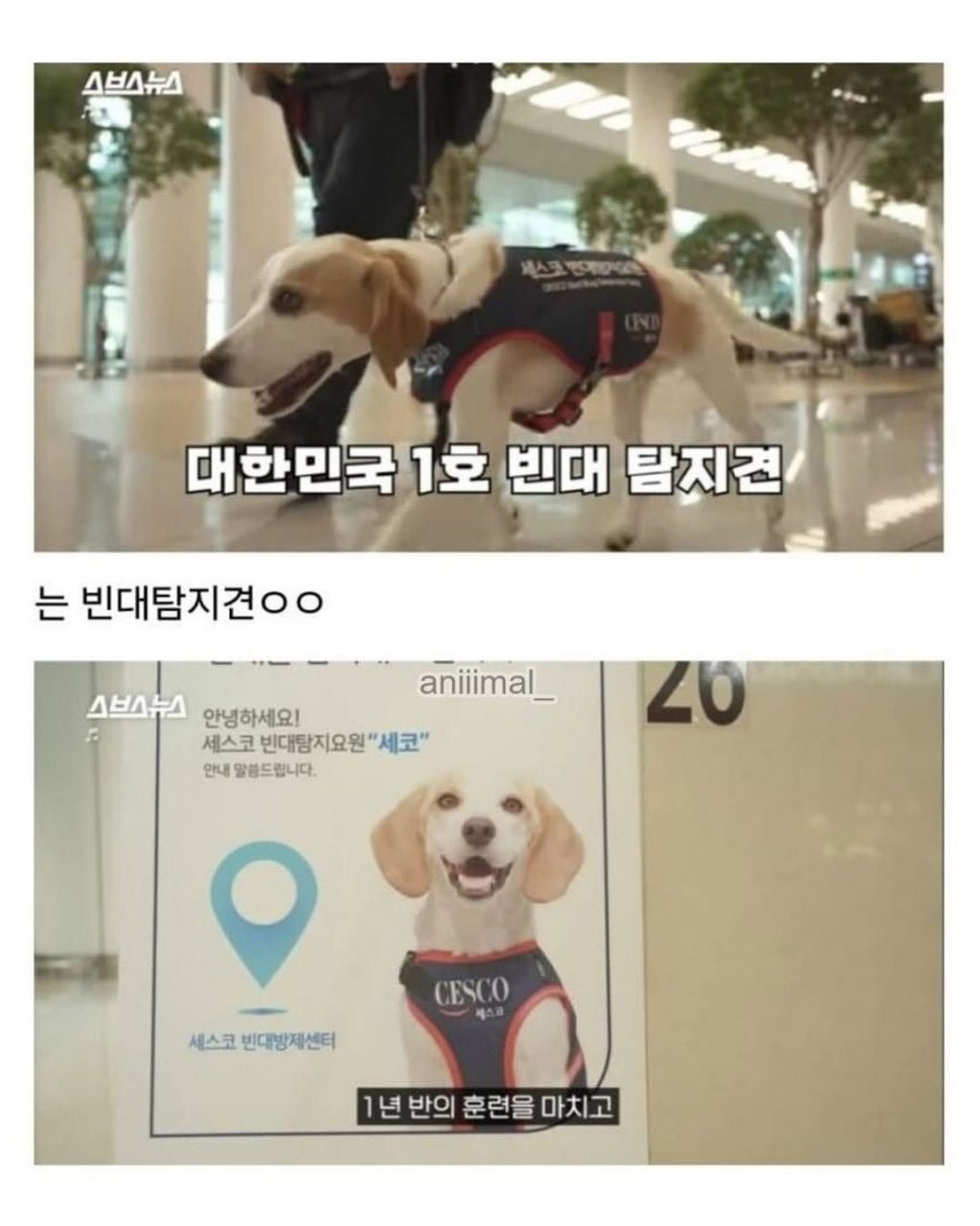 20분 일하고 30분은 쉬려고 한다는 신입사원