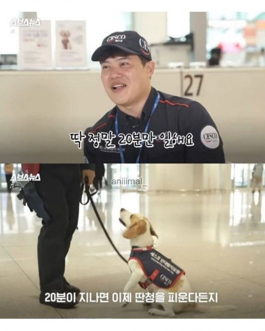 20분 일하고 30분은 쉬려고 한다는 신입사원