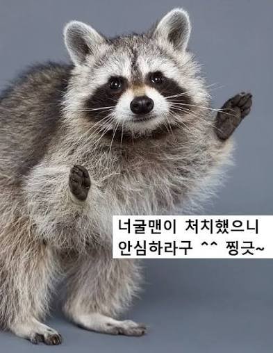 고딩 남친에게 가슴 보여주려는 고딩 여친