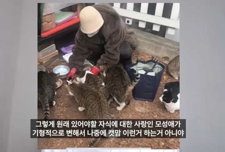 북한산 도봉지구 근황