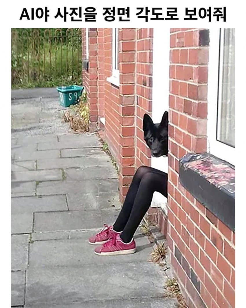 진짜 두렵다는 AI의 발전속도