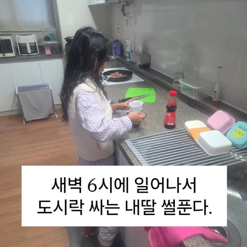 급식 파업에 도시락 싸가는 딸내미.jpg