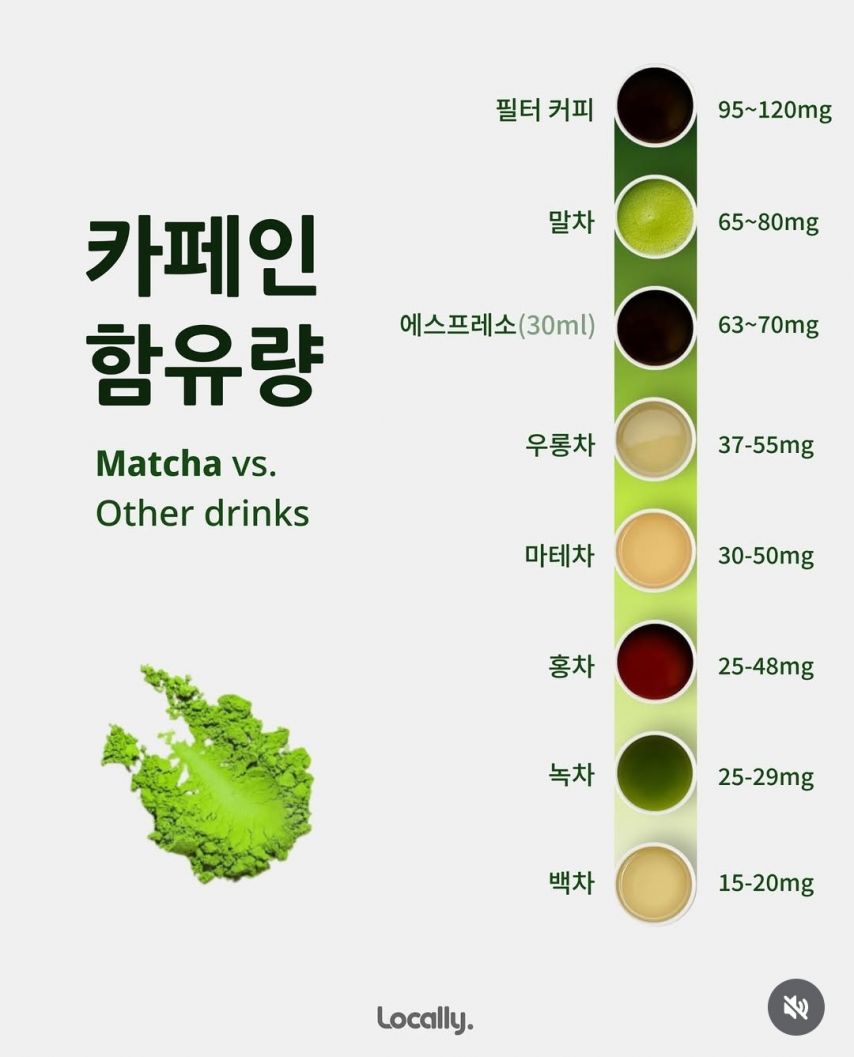 말차 vs 녹차 차이점