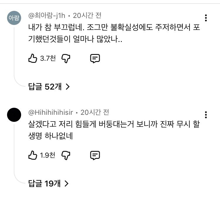 살기 위해 사막을 기어서 횡단하는 메기