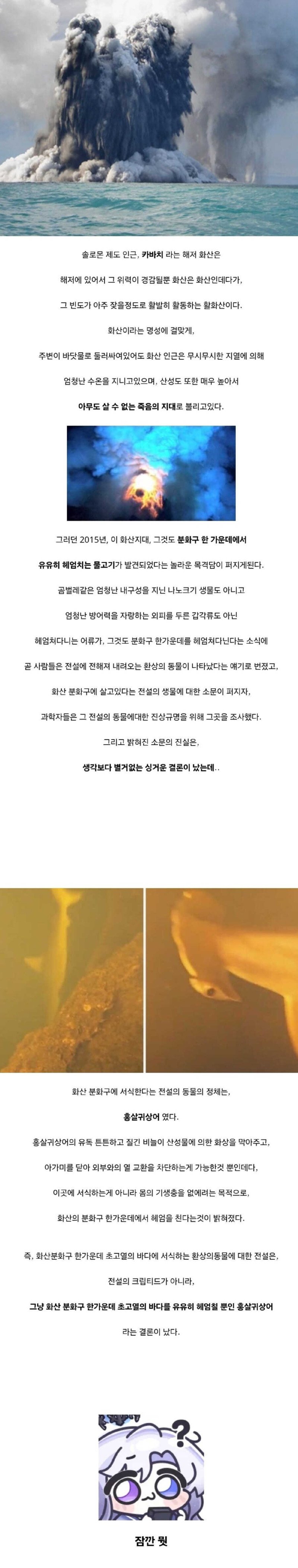 화산 분화구에 살고있다는 전설의 동물