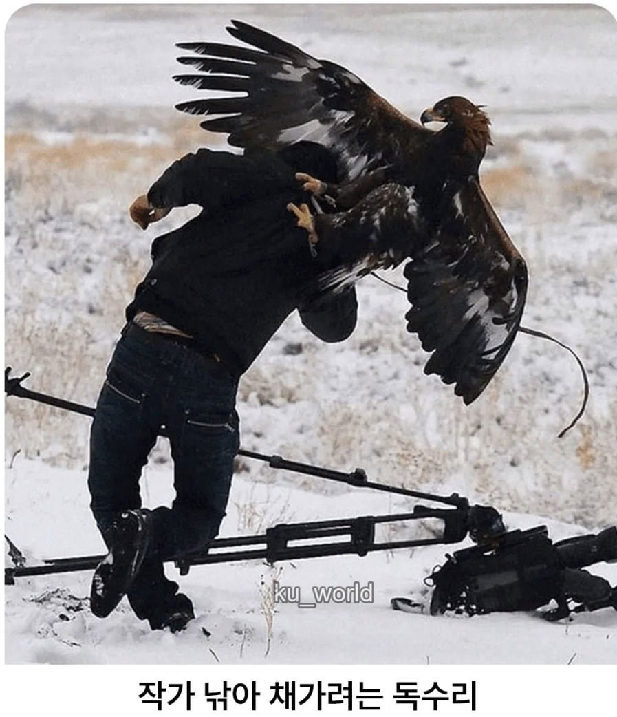 싱글벙글 동물다큐 촬영현장