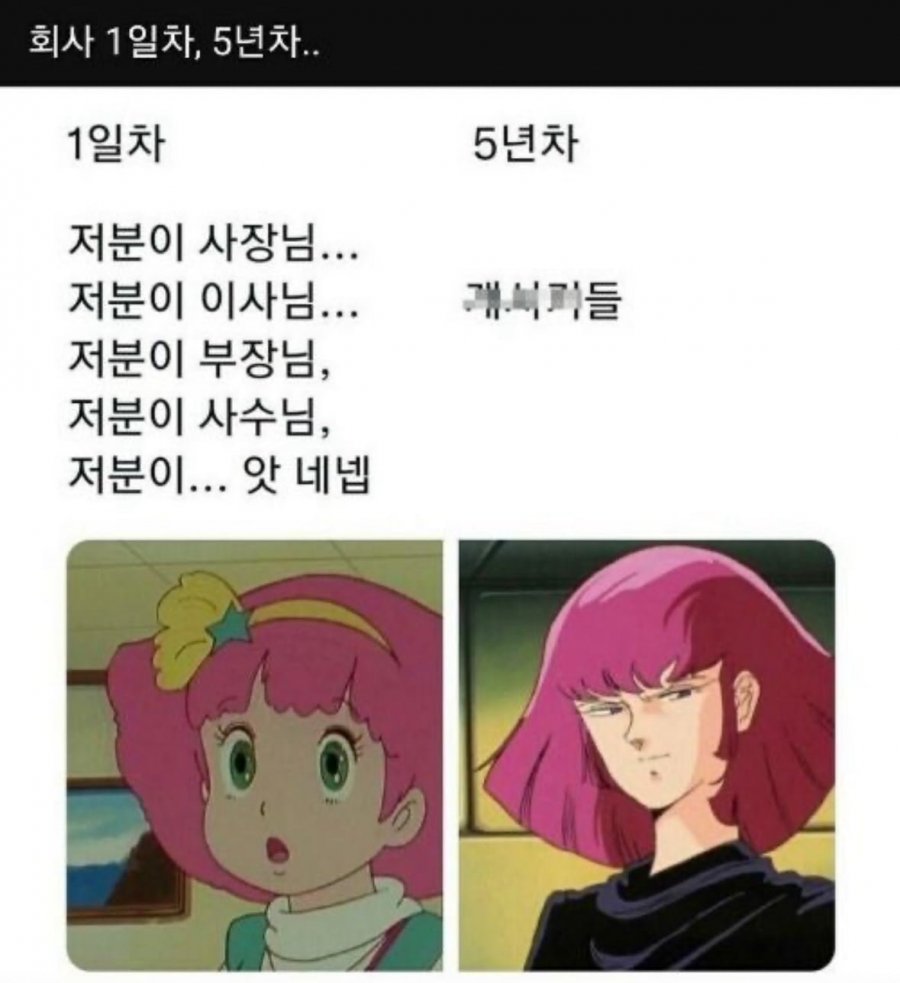 회사 1일차와 5년차.jpg