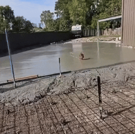 시멘트 새로 깔았다 해서 와 봤다 gif