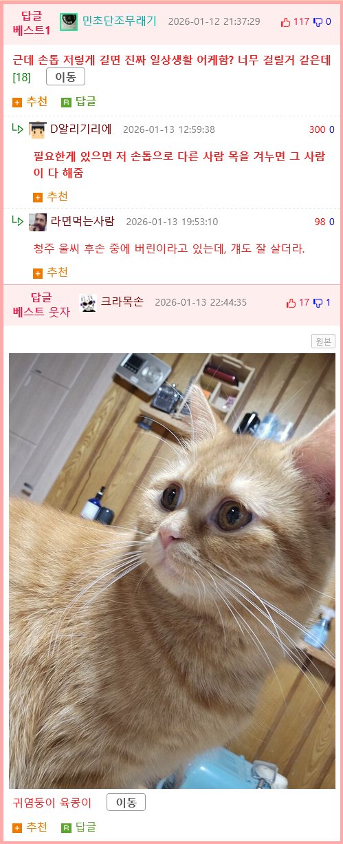 진짜로 집사를 가르치는 냥이