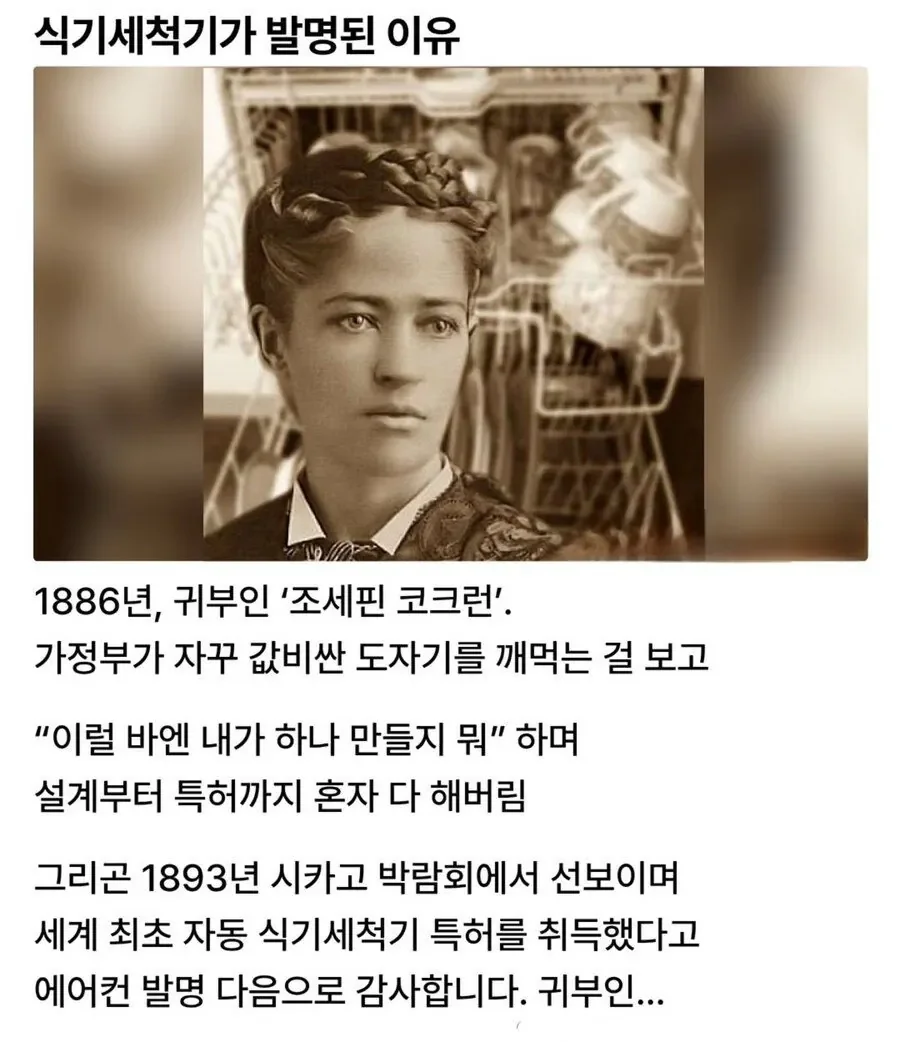 식기세척기 발명 이유