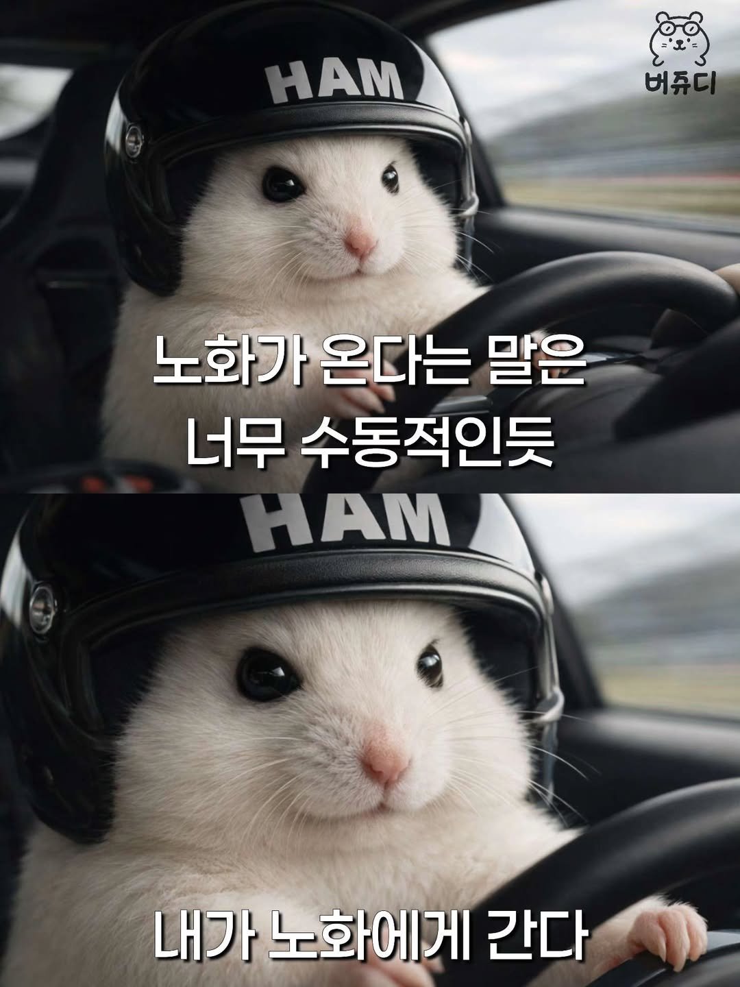 노화가 오는 걸 거부한 자.