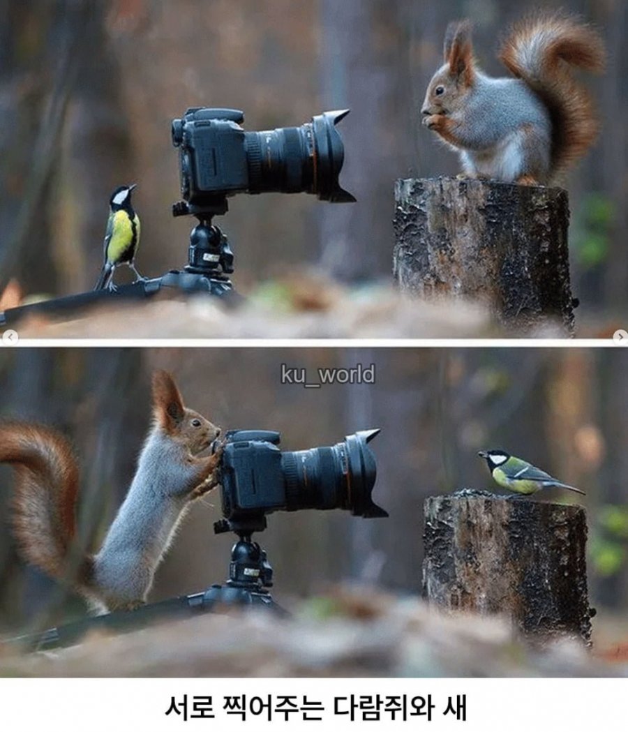 싱글벙글 동물다큐 촬영현장