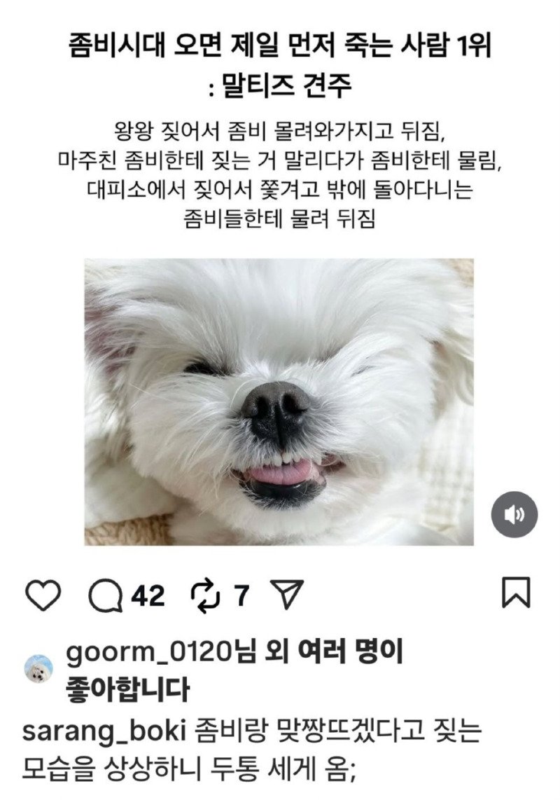 좀비 세상이 오면 제일 죽은 사람은?