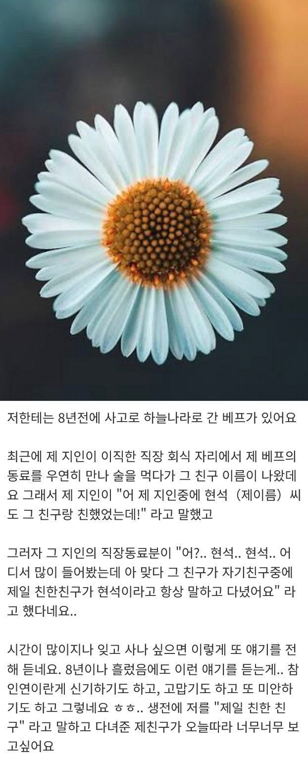 펌) 나 없는데서 내 얘기를 하고다닌 베프