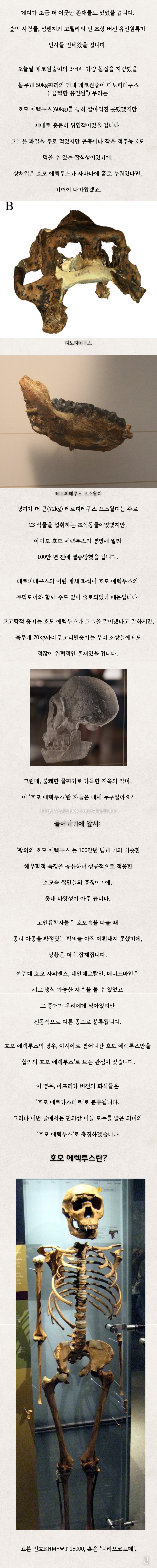 인류4) 옛날 사람들은 서로를 요리 재료로 봤을까?